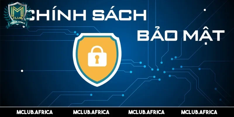 Đây là nền tảng phát triển bền vững của nhà cái