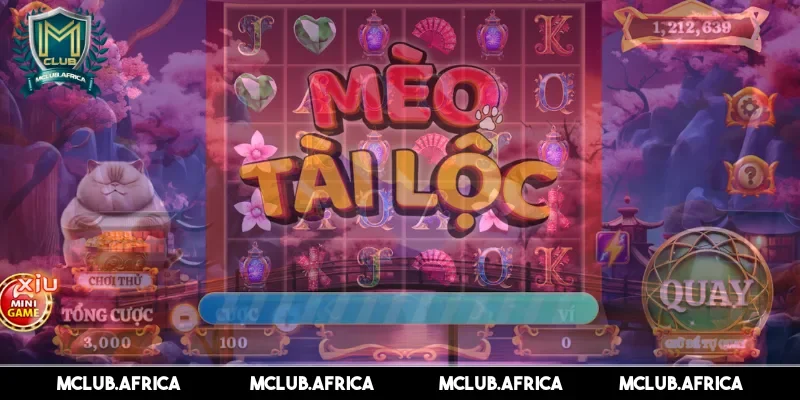 Một số kinh nghiệm quan trọng để học hỏi