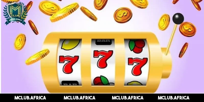 Giới thiệu khái niệm săn hũ