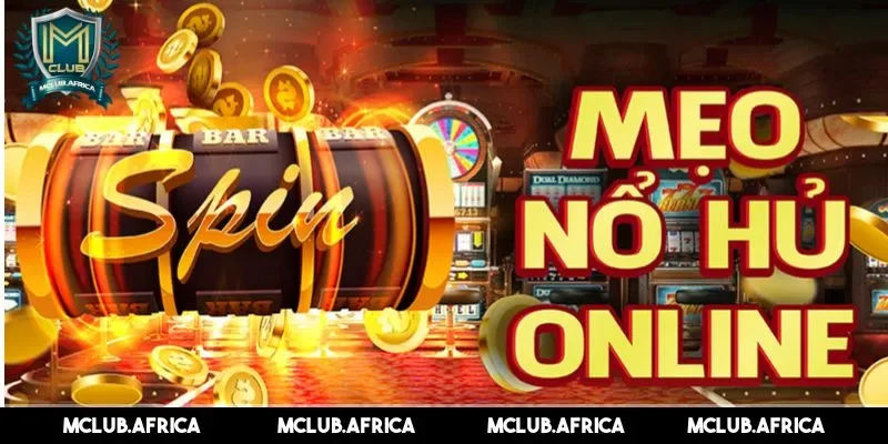 Mẹo săn hũ cùng chuyên gia 